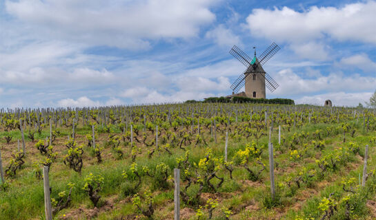 HÔTEL & RESTAURANT VUILLOT Cuiseaux