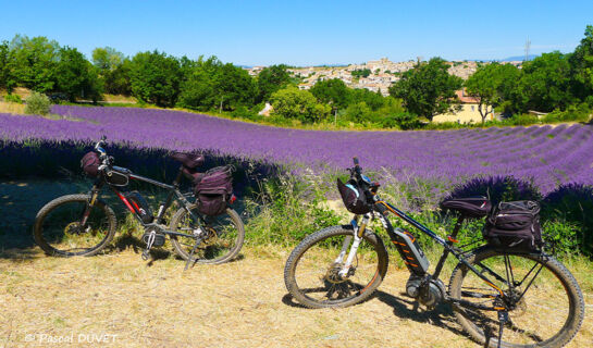 LE PRINTEMPS Montélimar