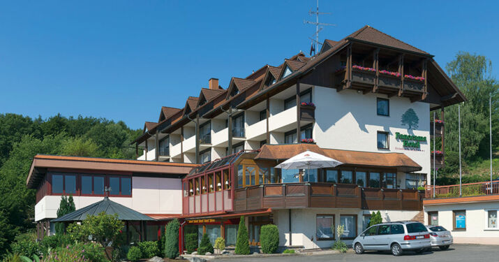 PANORAMA HOTEL HEIMBUCHENTHAL  Heimbuchenthal  Odenwald  Allemagne