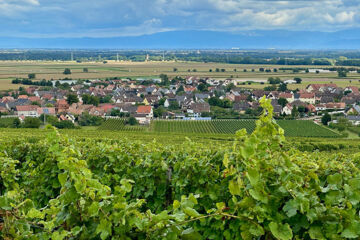 HOTEL RESTAURANT AU LION D'OR Burnhaupt-le-Haut